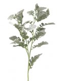 Kunstbloem Senecio Cineraria 97 green