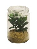 Kunstbloem Succulent 17 deco 4