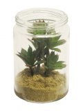 Kunstbloem Succulent 17 deco 3