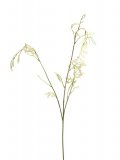 Kunsttak Platani cream, 89 cm
