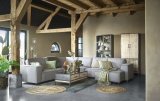 Salontafel Fermano 122 x 62 mangohout