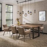 Eetkamerfauteuil lobby / Champagne velours