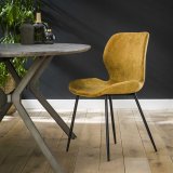 Stoel ronde buis. VPE4 / Goudkleurig velours