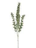 Kunstbloem Mandivo eucalyptus, 90 cm