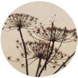 Muurcirkel Zanoni bruin canvas, 37x2 cm