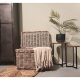 Mand Cestelli grey