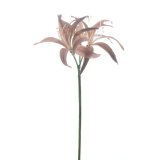 Kunstbloem Varenzo bruin 79 cm