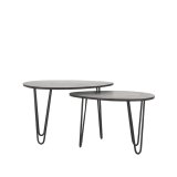 Salontafel Frisk mangohout