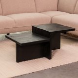 Salontafel Skip mangohout zwart