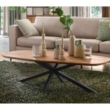 Salontafel Romaro deens ovaal 140 x 70 teak mix rough