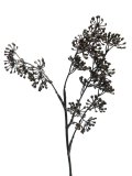 Kunsttak Fruty koper, 66 cm