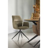 Armstoel Faido Zorro moss