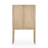 Kabinet Hassan 2 deuren