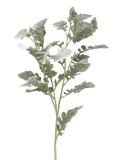Kunstbloem Senecio Cineraria 97 green