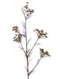 Kunstbloem Celioni bruin, 120 cm